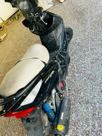 ماكس ثعلب • عطلت • ولفات