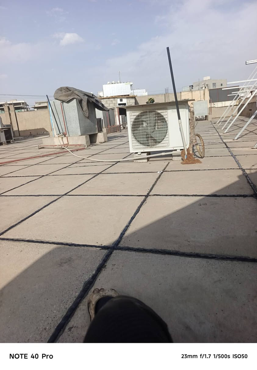 ماستيك • اليزكام • فلانكوت