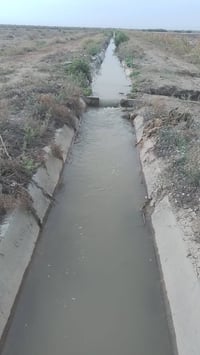 وبركاته للأيجار ارض زراعيه خصبه درجه اولى المساحه ٥٥ دونم معدل ليزر ما...