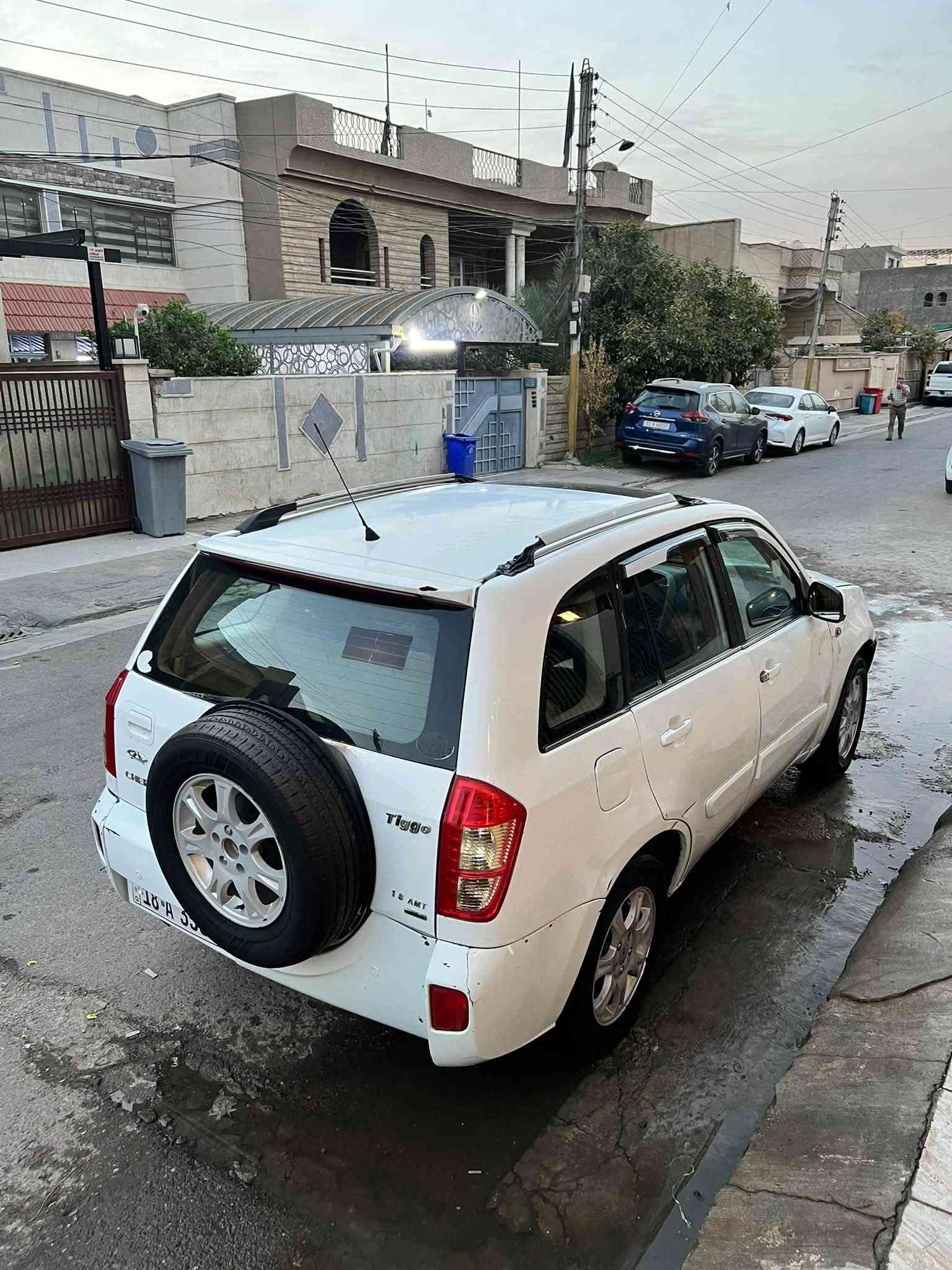تيكو ٢٠١٢ • رقم بابل • زينون
