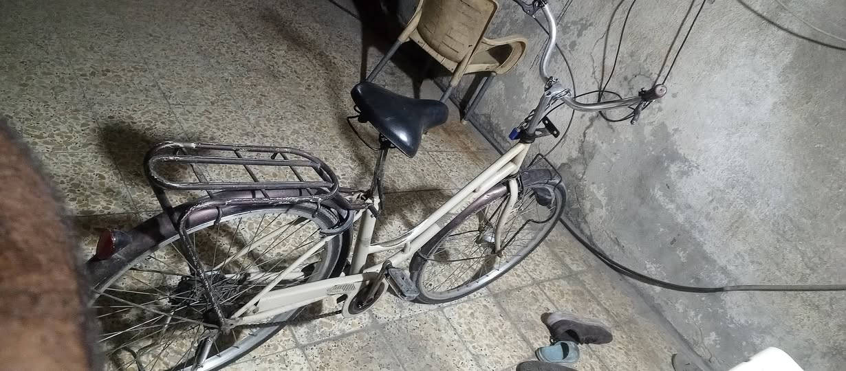 باسكل بناتي • حجم ٢٦ • تاير امامي عواج