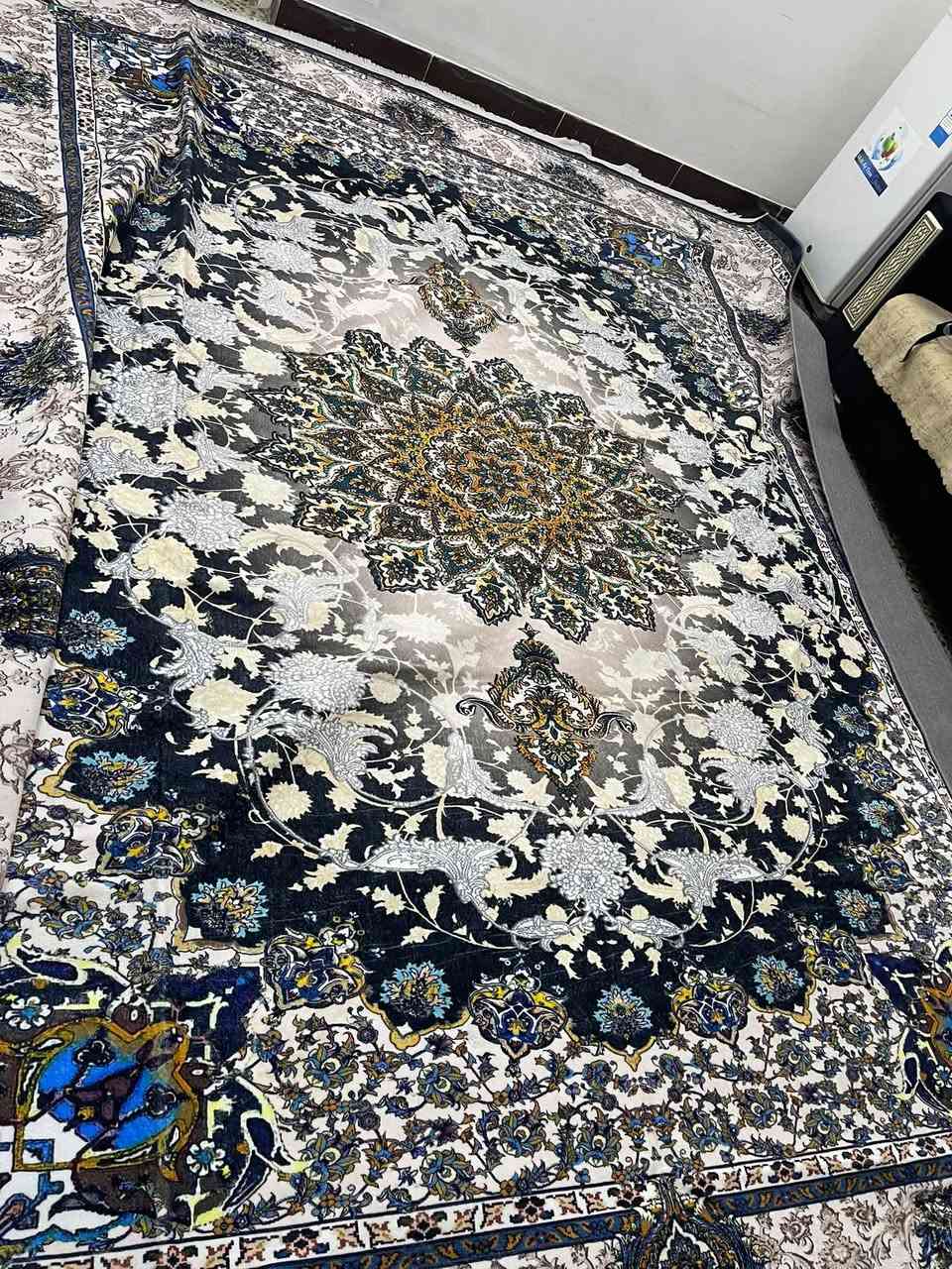 زولية كلاودي • جديدة • بغداد الحرية