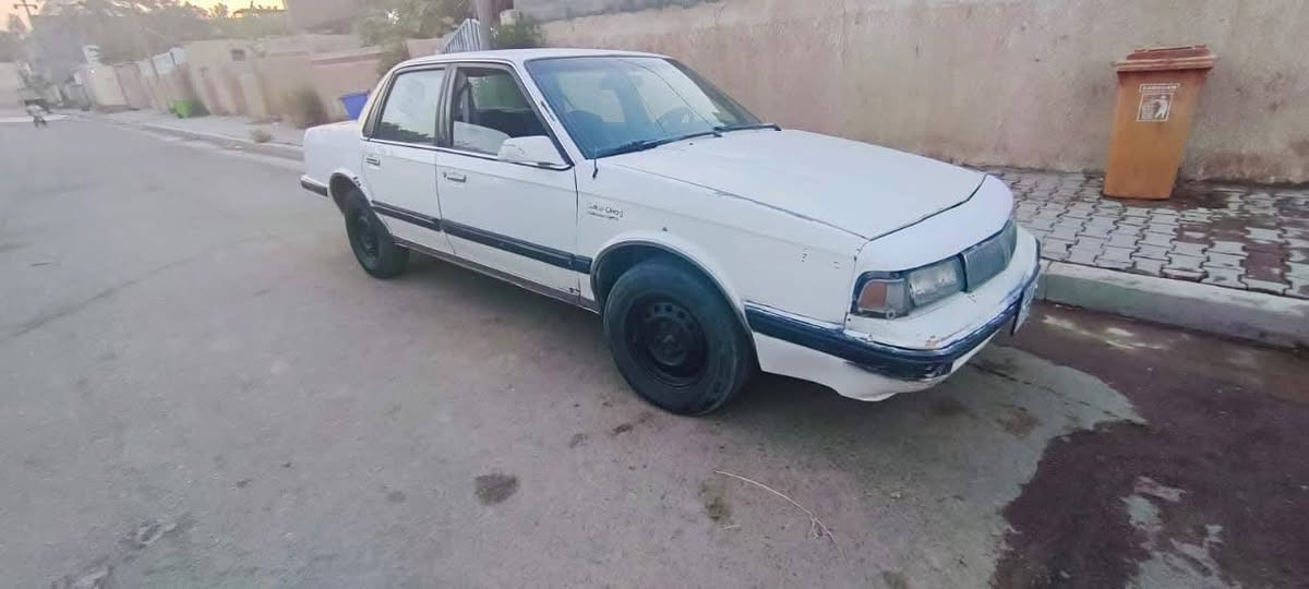 السلام عليكم
اولدز ٩٠

السعر ٢٣

مكلف بالنشر 

الاستفسار و التفاصيل 

***********

مكاني بغداد المحمودية
