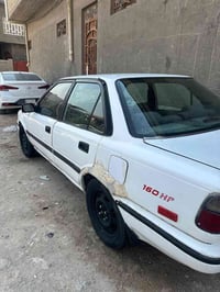 كورلا • عظم يسره • رقم بصره دولي