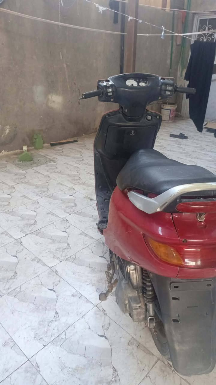 فراشه • تخبل • شغالة