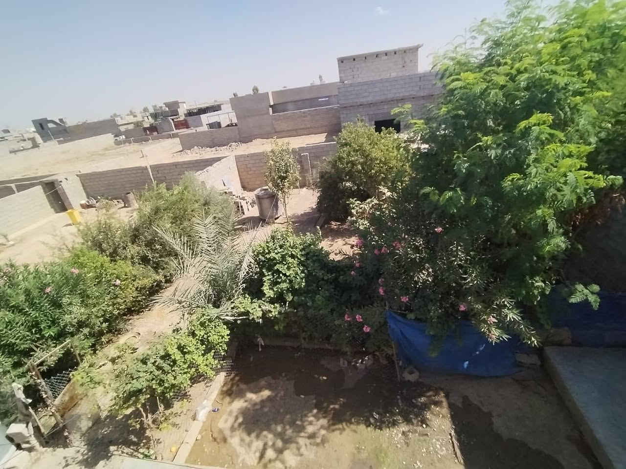 بيت للبيع مكان الحويجة قرية الفاروق مساحة 500 للاستفسار الاتصال علا الرقم ***********
