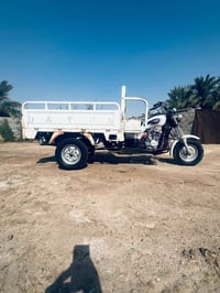 ستوته • ٢٠٢٠ • أوراق اصلية