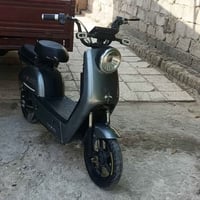 دراجة شحن • سنغافورة • حالة زينة
