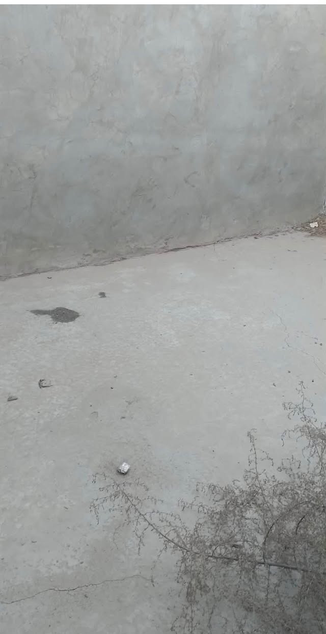ياا الله على بركت الله مكلف بل نشر 
قطعة ارض زراعيه مسيجه بل كامل.   
المكان:صلاح الدين قضاء بلد في منطقة جبج
المساحه: 100متر 
لل ستفسار: التصال على الرقم: ***********
