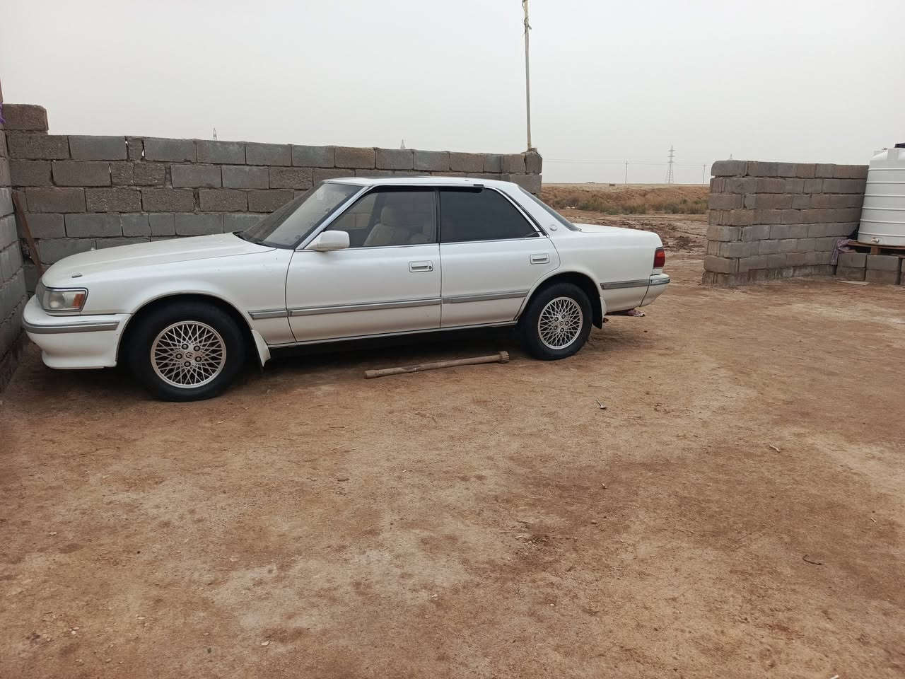 شيزر كصيف • ١٩٩٢ • رقم بصرة