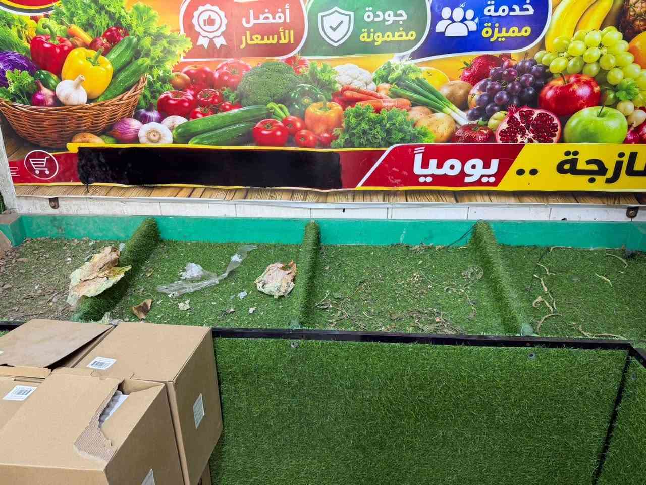 مرايات جدارية • ٤ قطع • خانات ١٣م