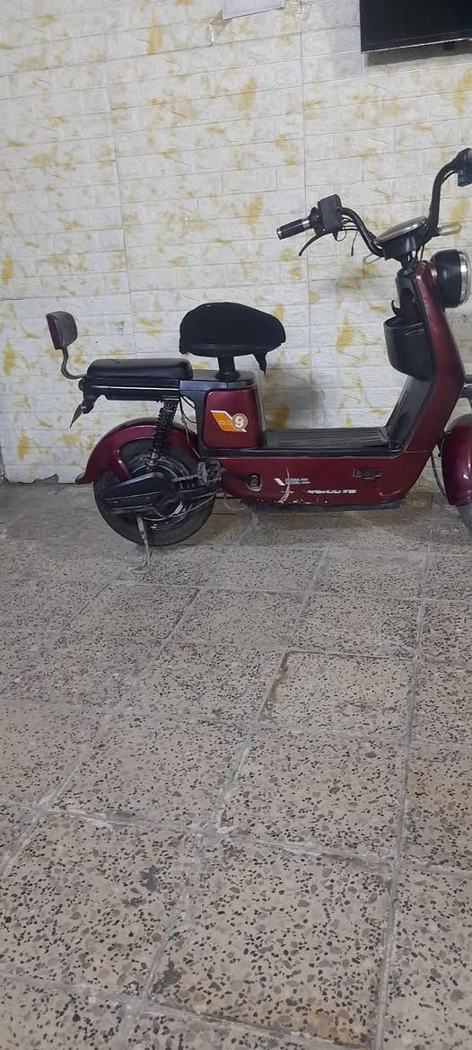 بـايـسكـلات للـبيع؛ 
نوعيه الاولـى:  كوري أم أر(Kore MR)  
مـواصفات:  كلشي شغال بيه و نضافة تقريبا 70% 
بَـس يحتـاج له بـطـاريـات فَـقط دون بـطـاريـات 
حَجـم: 14
سـعـࢪ: 150,000 د.ع 
ــــــــــــــــــــــــــــــــــــــــــــــــ
نـوعـيـه ثـانية:  HIS 
مـواصفات: أيضا كلشـي شـغال بيه 
بَـس أيضـا يحتـاج له بـطـاريـات فَـقط دون بـطـاريـات و تـايرات(أطارات) 
حَجـم: 20 

سـعـࢪ: 150,000 د.ع 
ــــــــــــــــــــــــــــــــــــــــــــــــ*  #مُلاحظـة الاسـعـار قـابله للتـفاوض لشـئ بَسيـط(بيهن مجال للشراي) 

التـواصل عبـر واتـسـاب...
 ***********

أو مࢪاسلـة صَـفحة
