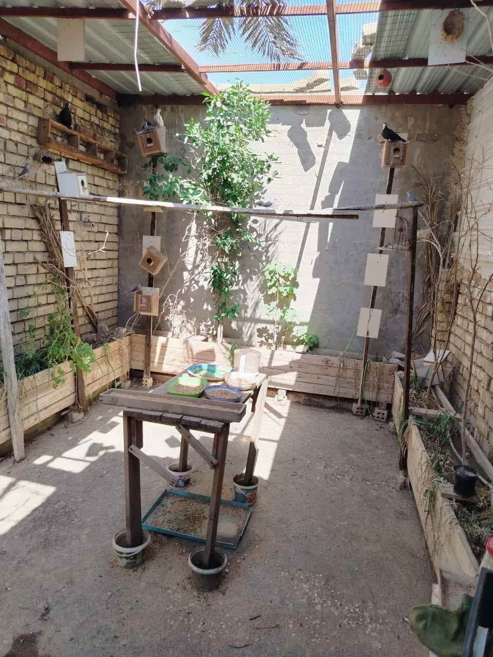 سلام عليكم مشتمل 75مترقاطين طابو ملك صرف غرف نوم 2 مكان بغداد الحسينيه مال راشديه متخل حمل بل فرع مال سواق تفاحه خامس فرع عن شارع رئيسي 
سعر 65 
،***********
