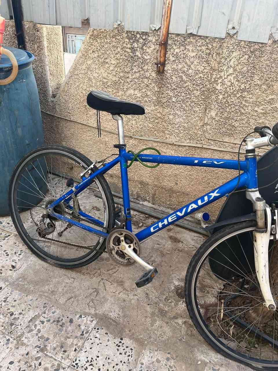 بايسكل • جوبين بنجر فول • نظيف حيل