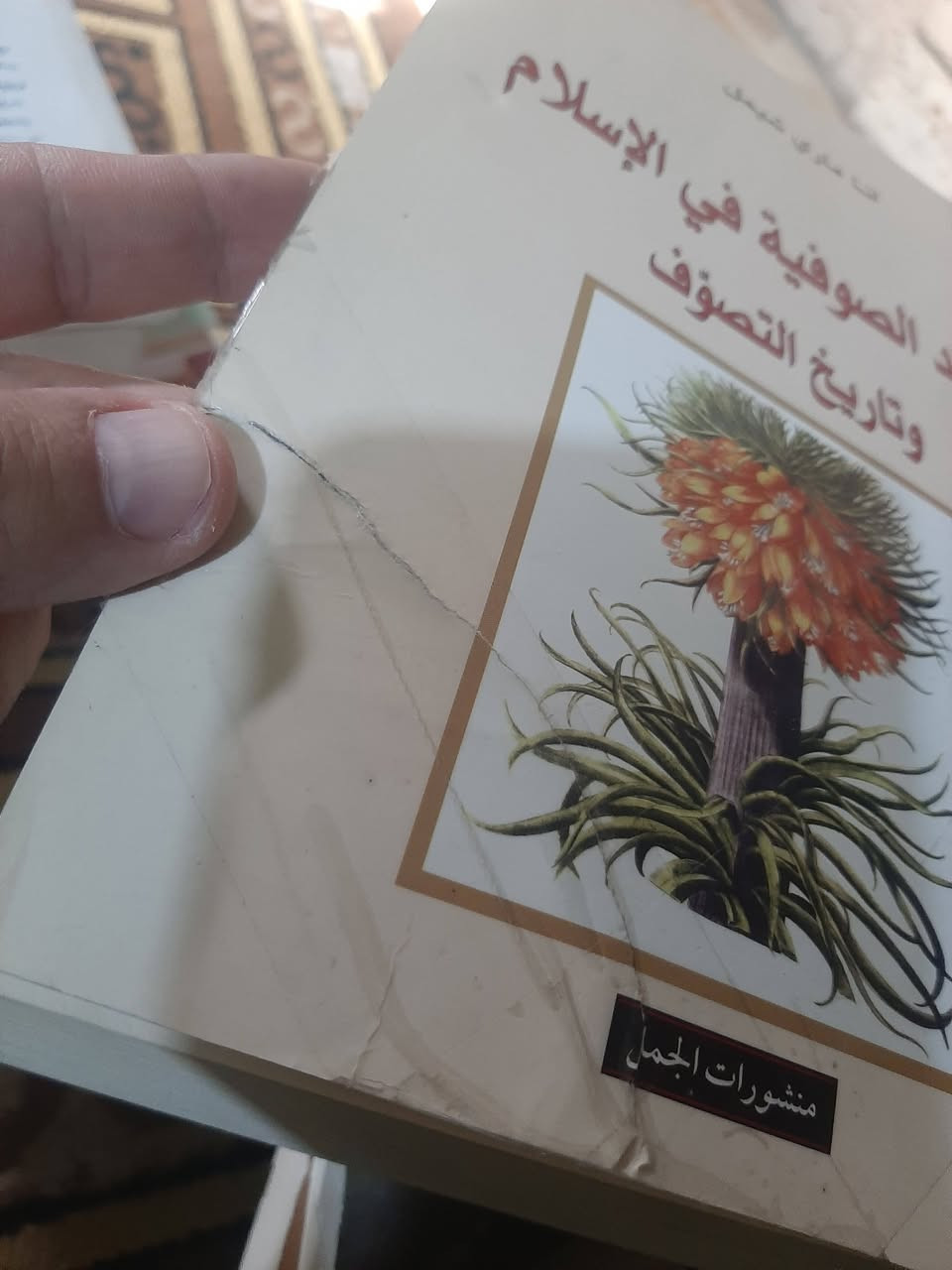 📚الابعاد الصوفية 
في الاسلام 
(تضرر بسيط بالغلاف)
✍انا ماري شيمل
🕍الجمل -٥٢٠ص...
💸السعر :8.000
الف
رئاسة العبيدي 
او 
المتنبي الجمعة
***********
