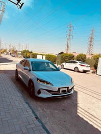 سيل6 • ٢٠٢٥ • طخه بسيطة