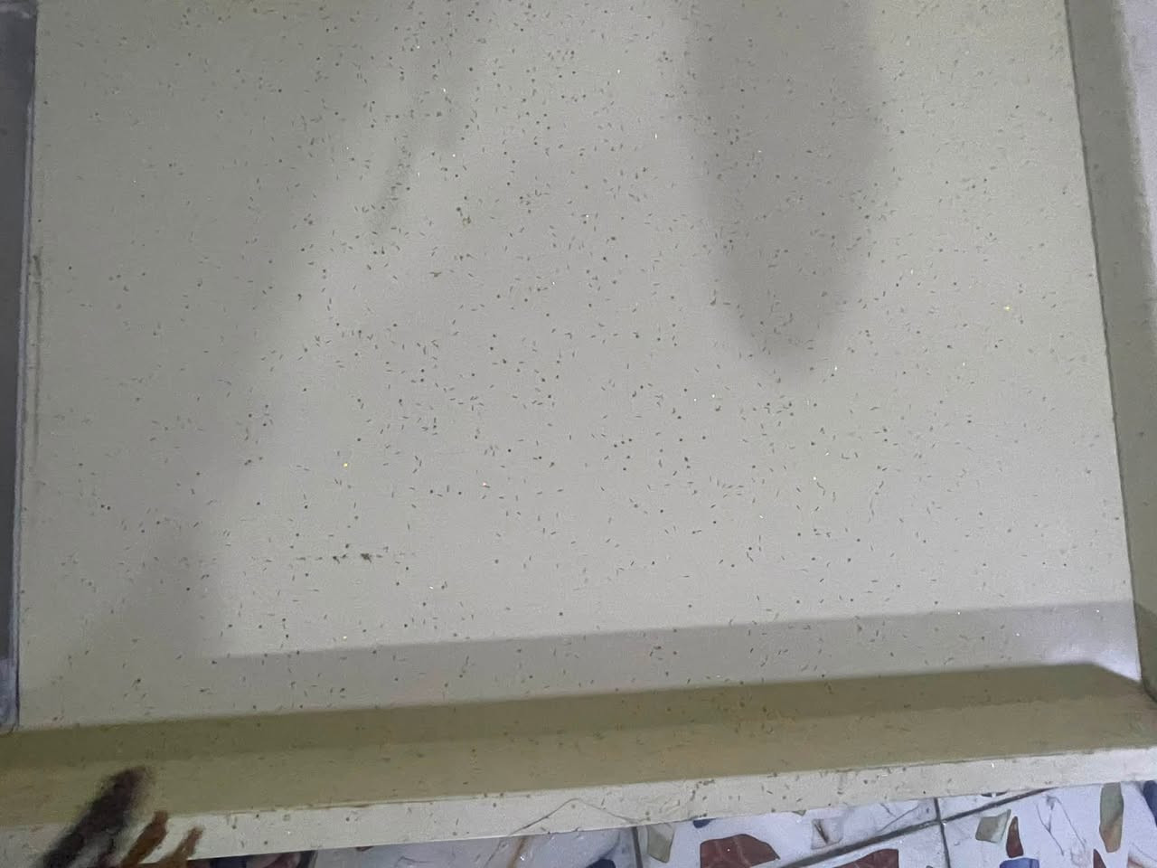 سلام عليكم للبيع سنكي مرمر شخط مابي طول مترين معا حوض سل ستيل اصلي للمعلومه بس الحوض سعره ١٠٠ شترينا من عده المرمر أريده ٨٥ حله مركز رقمي ‭***********‬
