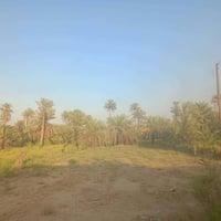 قطعة زراعية • سند ٢٥ • ١٠٥٠م