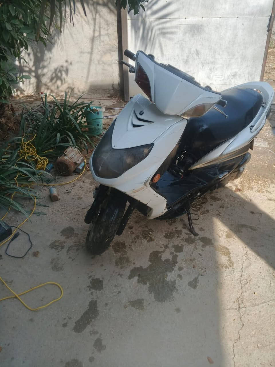 سكنز • ياباني • نفخ
