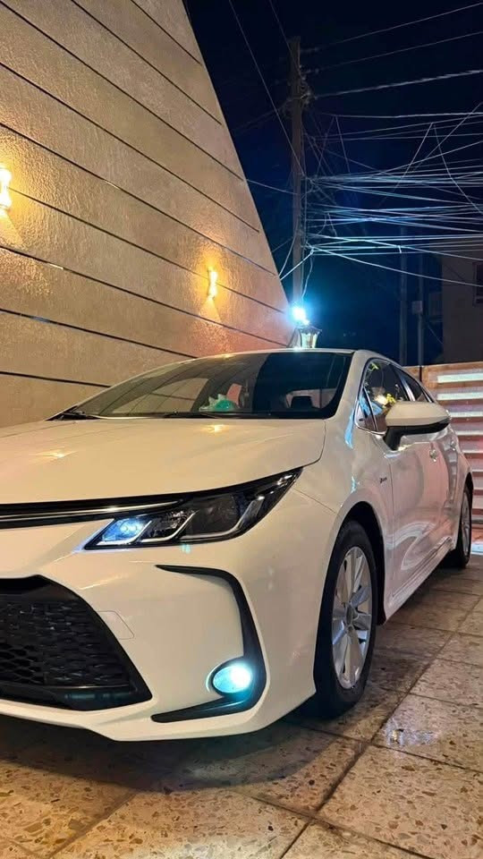 كورلا 2025 وارد صيني للبيع مكفوله
بغداد مكاني مجمع البدور
السعر 127 ورقه وبيها مجال

‭***********‬ ‭
***********‬
