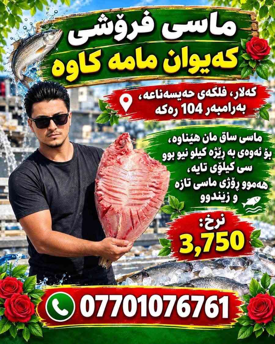 سمك طازج • سمك حي • ٣٠ كيلو