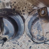 هورنات بوش • ألماني • قابل تفاوض