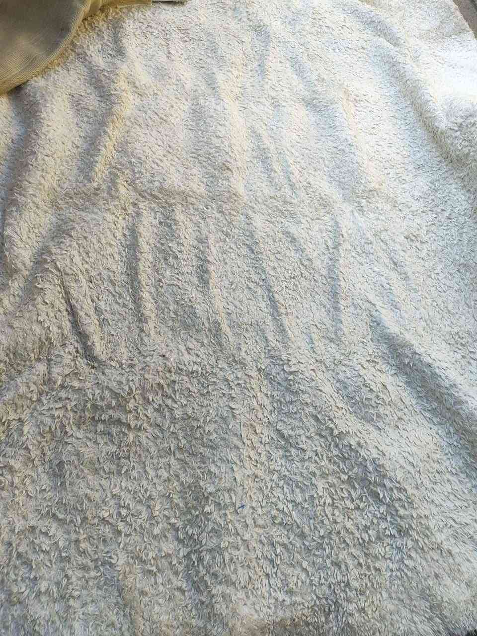 زوليه • نضيفه • ٤×٥م