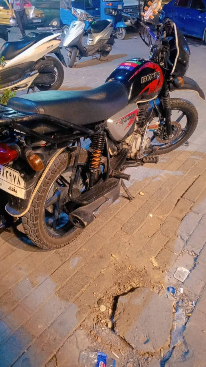 بوكسر جبلي • مرقمه • موديل ٢٠٢٢