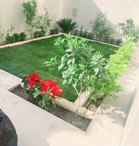 شعب حي اور • بغداد • بستاني