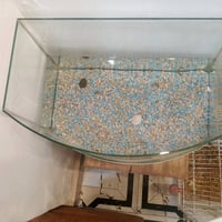 حوض جديد • نظيف • حي الجهاد بغداد