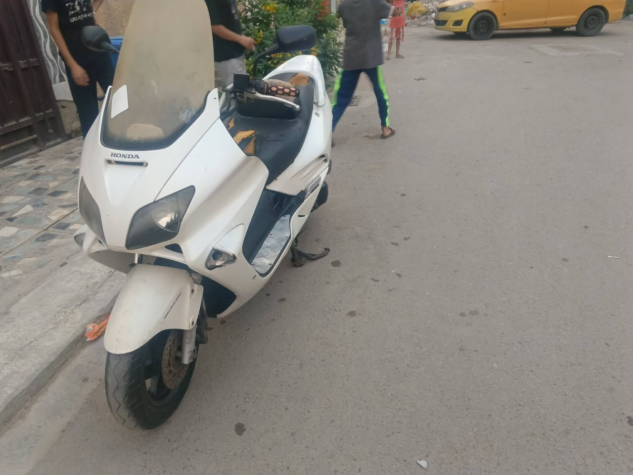 فورزه 06 • فحل • معدل يخبل