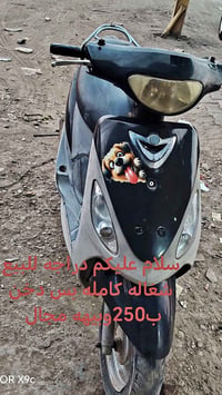 تشتغل • تدخن • خان بني سعد