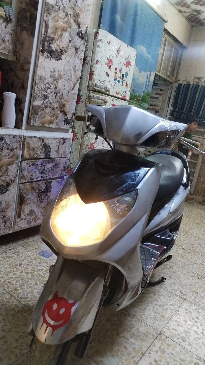 سكنس فحل • كوري • سلف