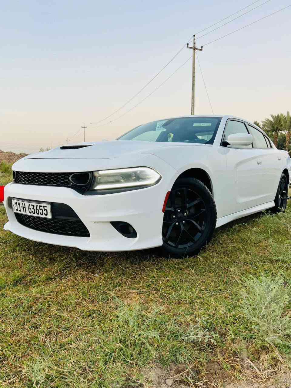 دوج تشارجر 2019 اصل بغداد بسمي دولي
حادثها جاملغ وبنيد صبغ سونار مع الصور 

مواصفات اصل  جيتي 

مكينه وگير 3600 توه ويل 

كشنات دبل حضن 

رادار جانبي+  حساسات

شاشه كبيره +كامره بلاد

شفتات استيرن 

مرايه وسطيه تعتيم الضوء

السياره جاهزه اخر حبايه ادامه عامه مكينه وكير

 وحداده ولايت زنون وباتري وتبريد كله جديد 

العنوان ذي قار الشطره *********** واتساب

السعر 192وبيها مجال للشراي بيع مراوس عادي
