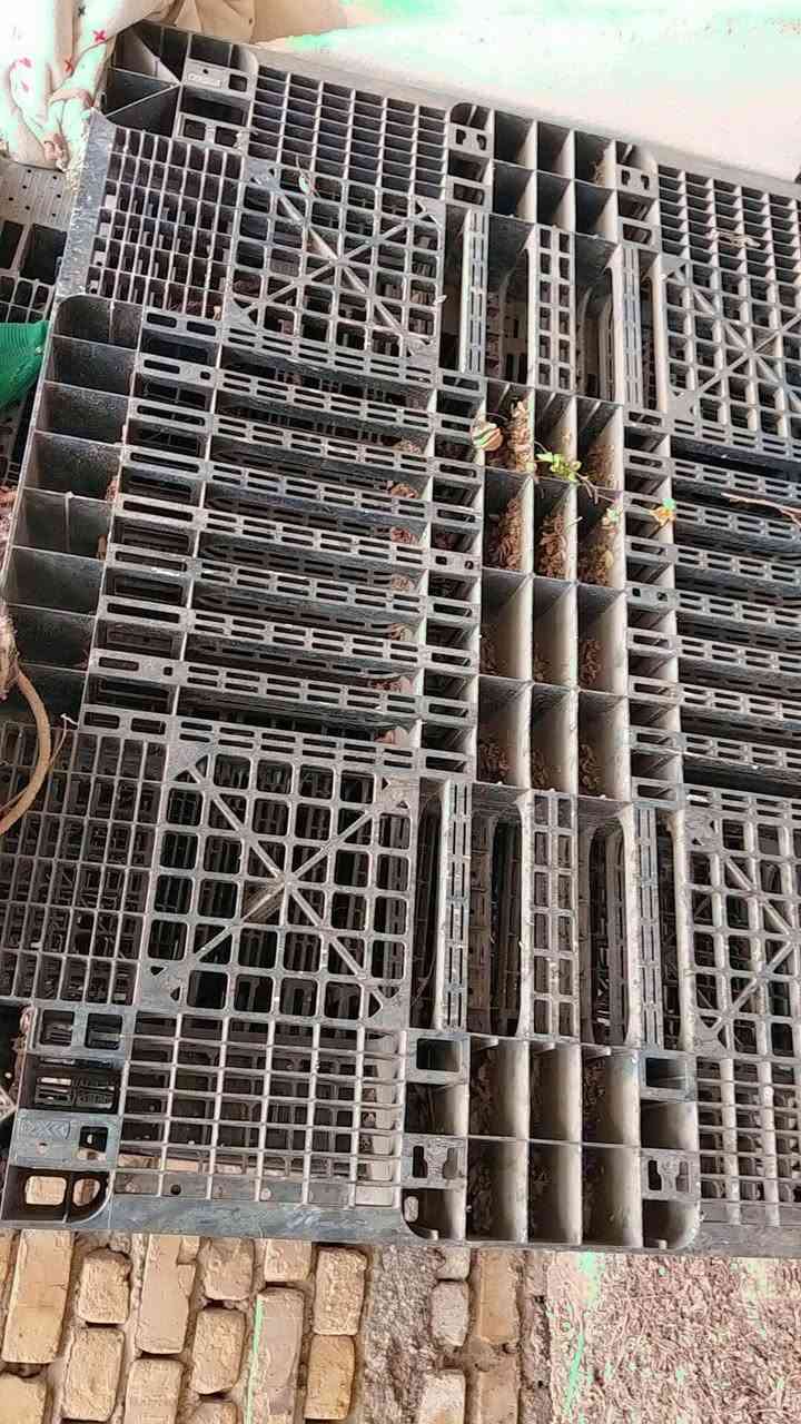 ناصريه مركز • واتساب • ديكور