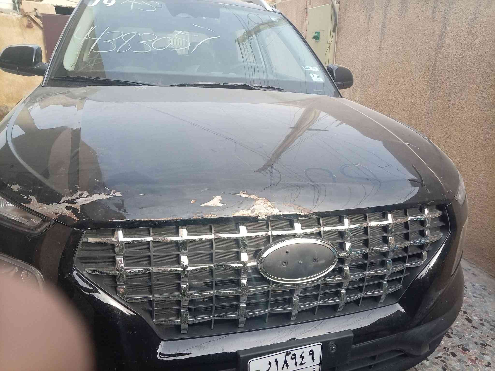 فينو • ٢٠٢٥ • الدورة