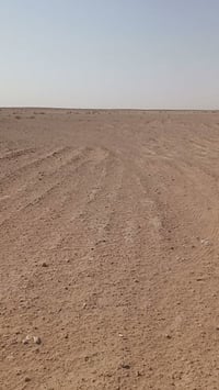 باديت النجف فوك • ١٥٠ دونم • گاع حلوه