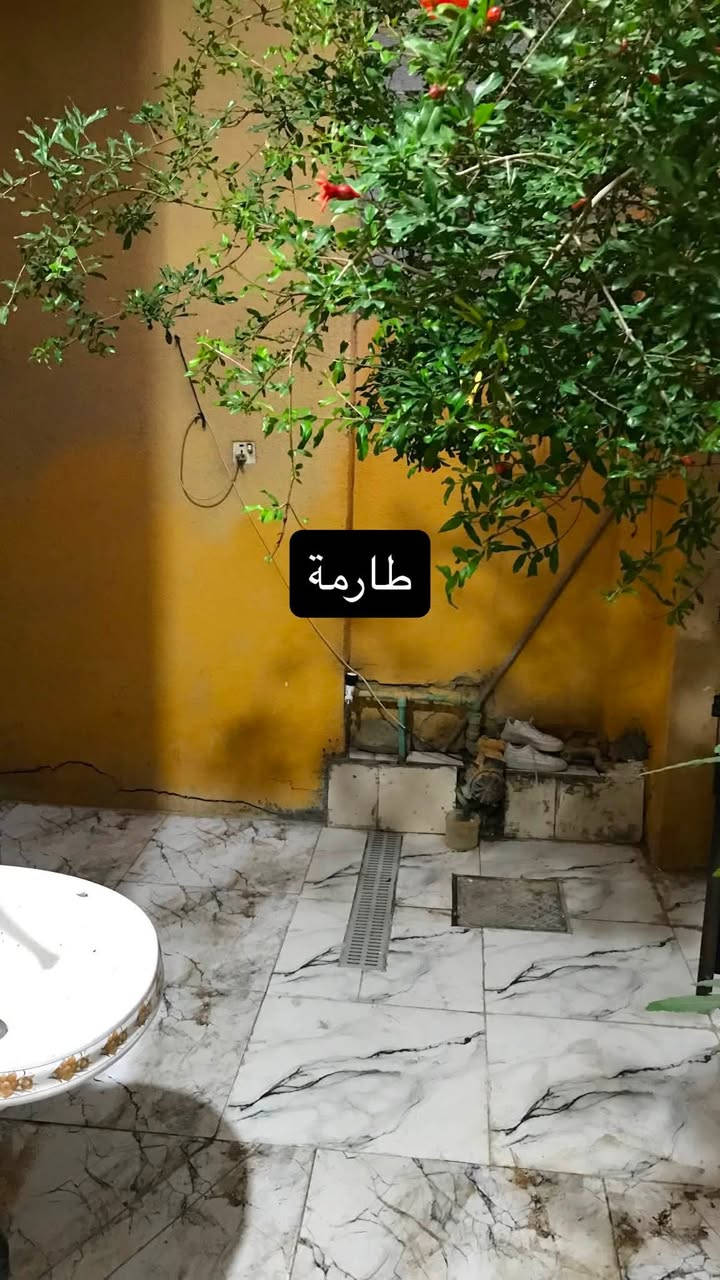 سلام عليكم بيع مستعجل 

دار للبيع طابو ملك صرف المساحة 110 . واجهة 5 ونص . نزال 20 يحتوي البيت على استقبال كبير ومطبخ كبير وصالة وغرفة وصحيات وغرفة فوك مع صحيات وسطح كبير سنة البناء 2015 .سيراميك وارضية بورسلين بناء نظيف جداً 

كربلاء حي العسكري قطاع 15 قرب شارع جامع ال عمران و شارع الامن الداخلي منطقة متكاملة من كافة الخدمات 

تبليط ماء مجاري كهرباء مدارس مستشفى مركز شرطة

السعر 120 مليون وبي مجال بسيط .

للأستفسار واتساب 

***********

