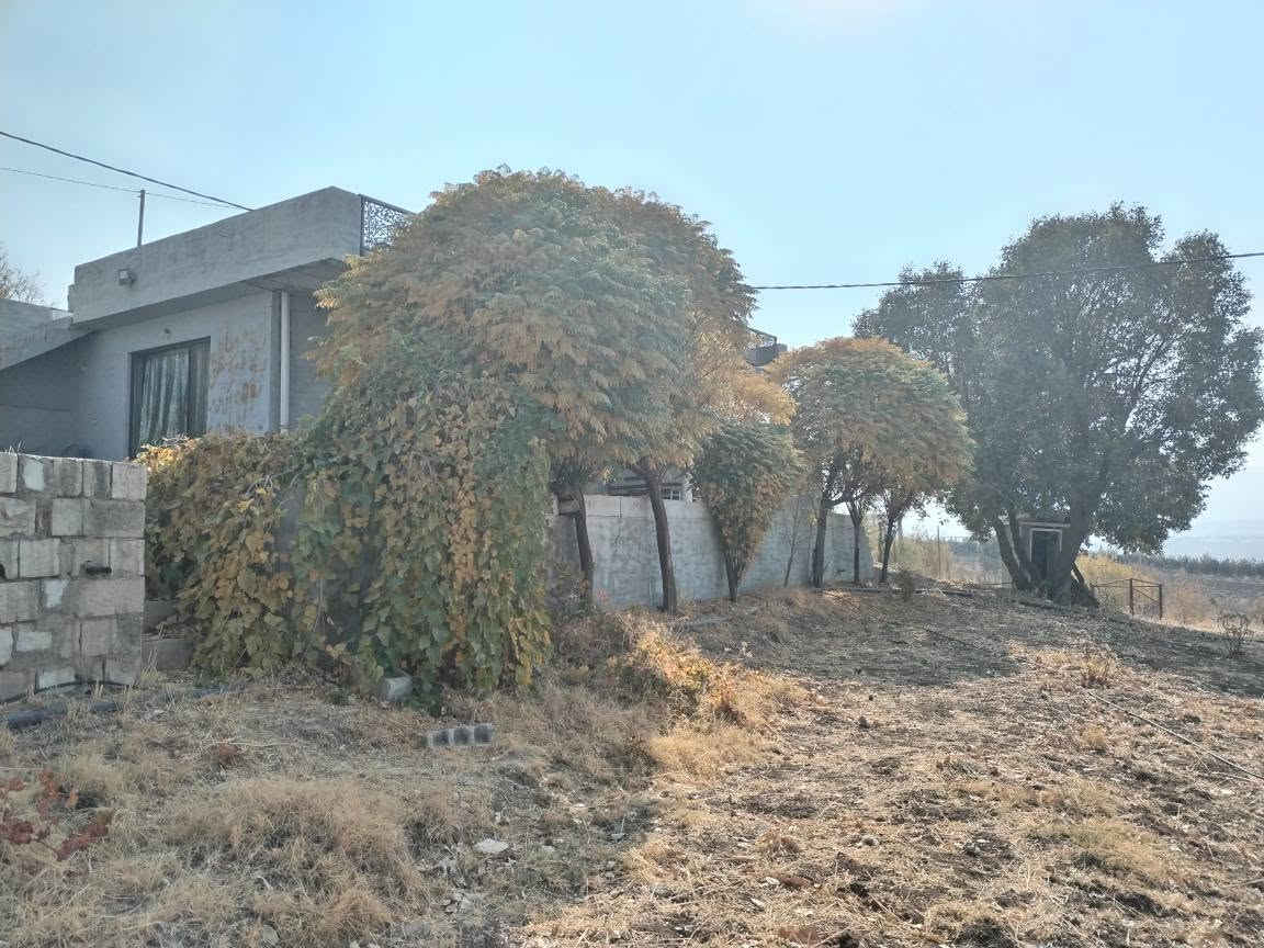ئەم باخە بۆ فرۆشتن لە سیتەک -کانی وەیسە ڕوبەرەکەی 2700 مەترە واتە دۆنمێک زیاترە و ڕوکنە وە تاپۆیە ئەکرێت بە ناوی کڕیارەوە وە باخەکە کامل سیاج کراوە و خانوەکەی ڕوبەرەکەی 80 مەترە پێک هاتوە لە هۆڵێک و مەتبەخی کراوە و موشتەمەلات باخەکە بیرێکی دەستی تێدایە لەگەڵ کارەبای موشتەرەک  وە داری زینە و داری بەرداریشی تێدایە  وە باخەکە بە ئەساسی ناوماڵەوە دەفرۆشرێت وە  2 خولەک لە جادەی قیر دورە وە تا بەردەم باخەکە چەوڕێژ کراوە  نرخەکەشی 240$ وەرەقە و معامەلە بۆ بینینی باخەکە پەیوەندی بەم ژمارە  مۆبایلەوە بکەن *********** شربازهير, السليمانية
