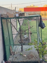 محميه • للبيع