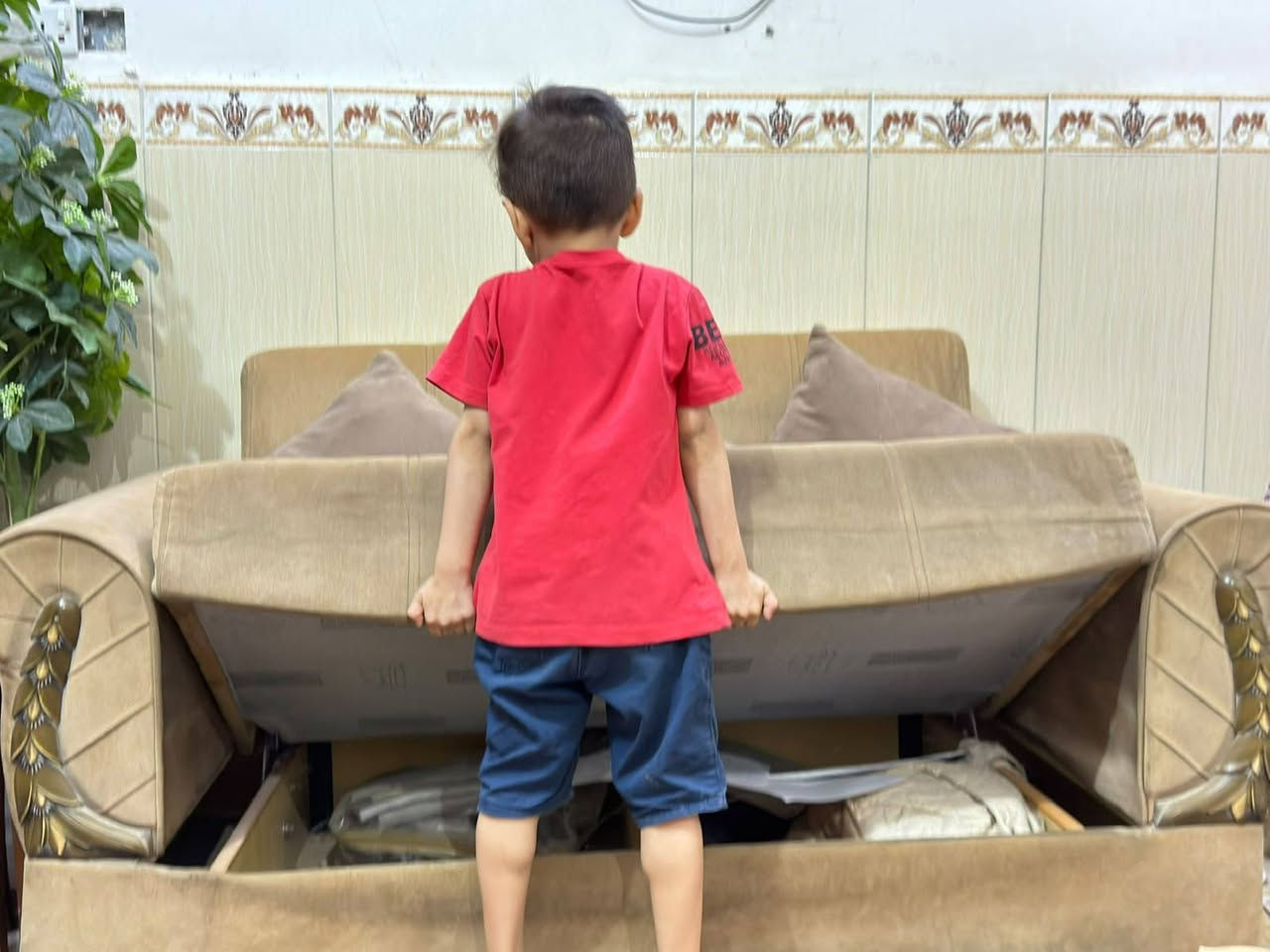 السلام عليكم تخم نضيف للبيع السعر 800 وبي مجال ***********

