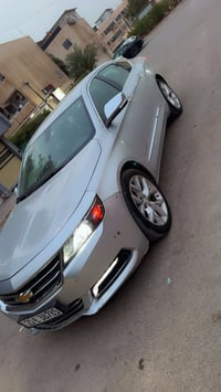 امبالا بريمير • ٢٠١٩ • بغداد زيونه