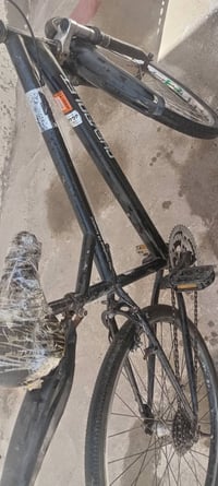 باسكل جبلي • واتساب • للبيع
