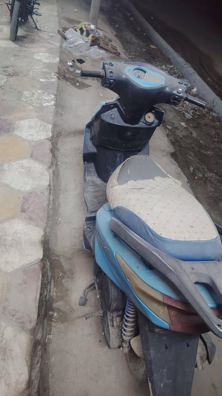 سكنس • ٢٠٢٤ • معدل فول