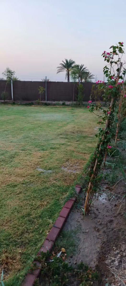مزرعه للبيع  بيه بتلو  
المساحه دونم طابو زراعي تحويل مباشر 
الموقع النيل بفرع الانضباطيه تبليط 
الماء 24 ساعه نهر مقابل المزرعه 
الواجهه 30 
السعر خاص او اتصال 
***********
