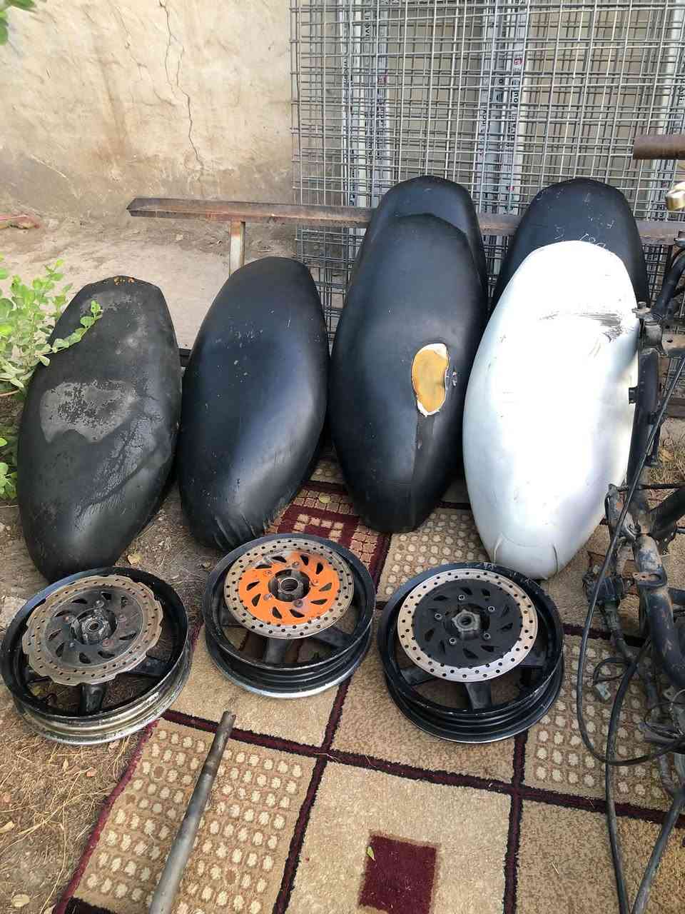 شواصي ثنين واحد مال سكنس فحل وثاني مال سكنس فحل طلاعات كاملات الاخير وغراض خير من الله شتحتاج خابرني 
ملاحظه ( غراض مال ماكس همات ) 
بغداد ألشعب ***********
