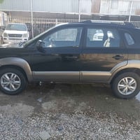 توسان • ٢٠٠٩ • صبغ كامل