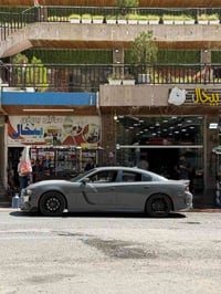 ٢٠١٩ • اصل بغداد • لون سمنتي