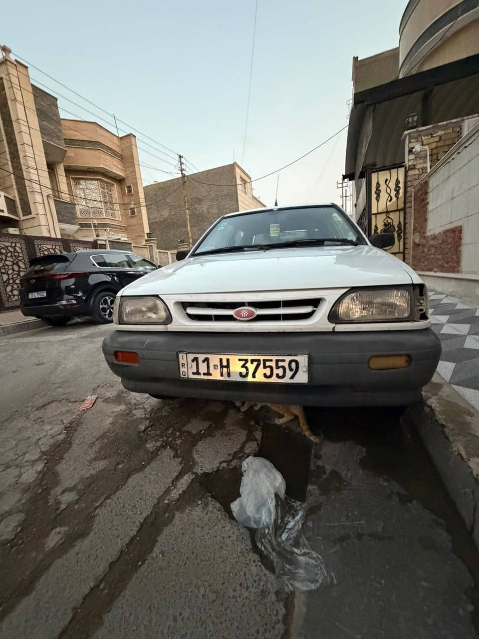 ٢٠٠٩ • كفالة • ١٢٤ الف