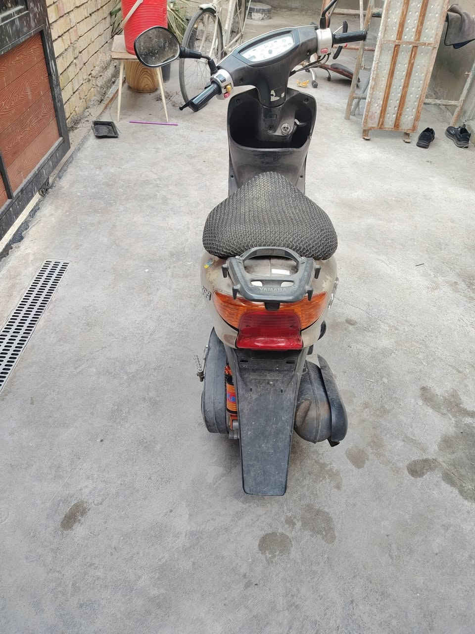 عصفوري • ايخبل • دبل رياضي